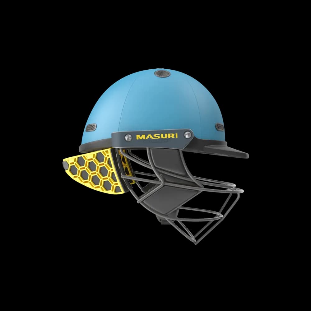 Cricket Helmet - Vue 3