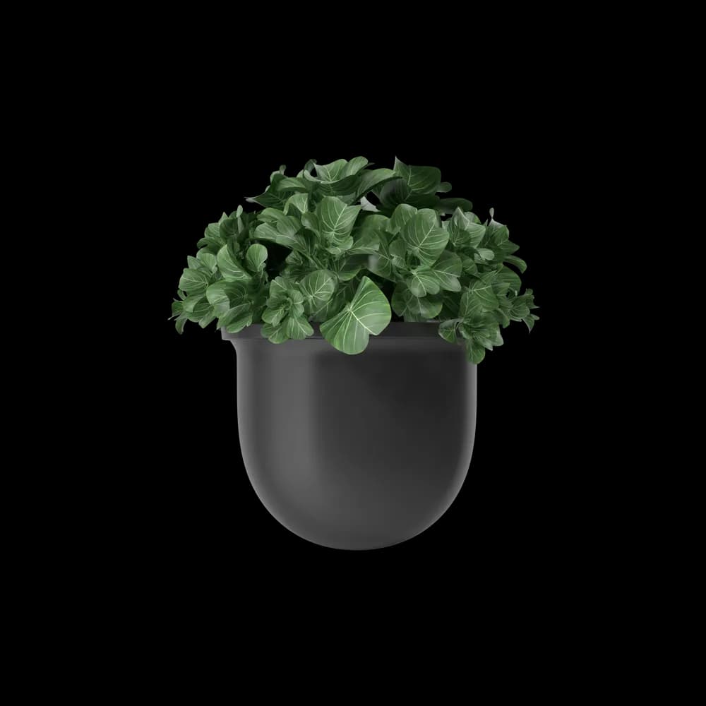 Plant Pot - Vue 2